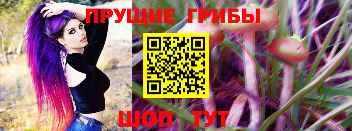 Королёв  Галлюциногенные грибы Psilocybine cubensis  Галлюциногенные грибы Cubensis  Вход с VPN 