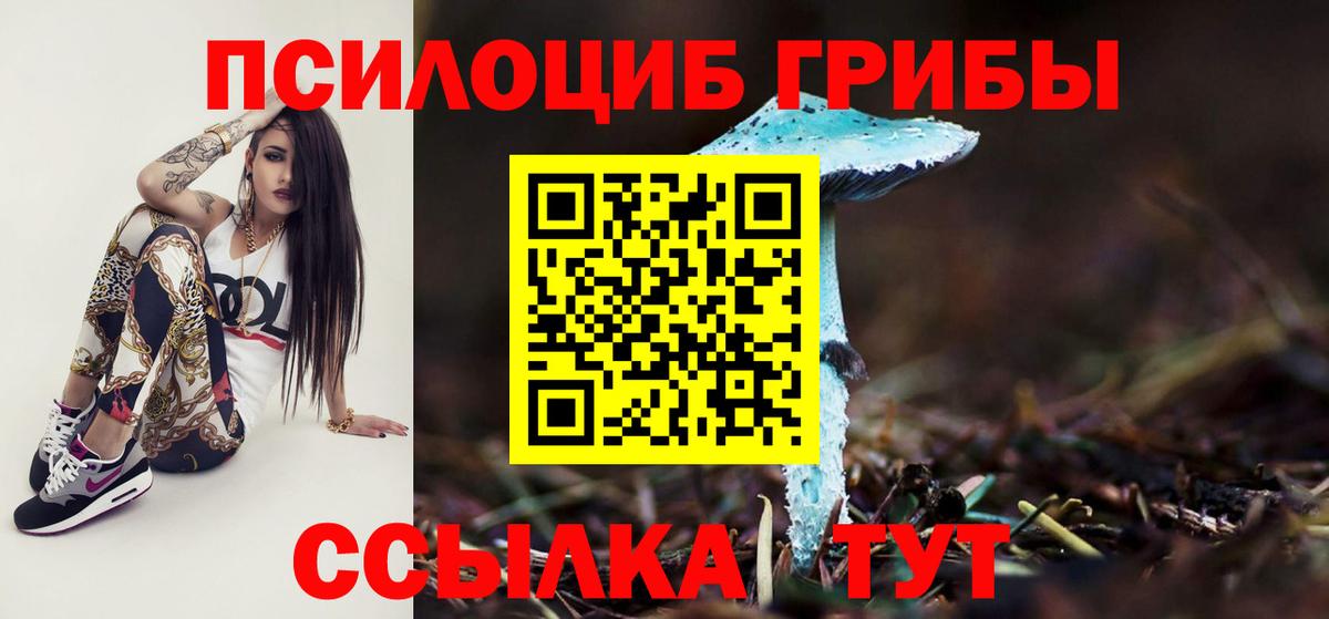Псилоцибиновые грибы Psilocybine cubensis Королёв